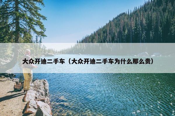 大众开迪二手车（大众开迪二手车为什么那么贵）