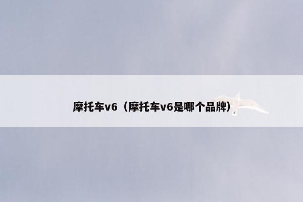 摩托车v6（摩托车v6是哪个品牌）