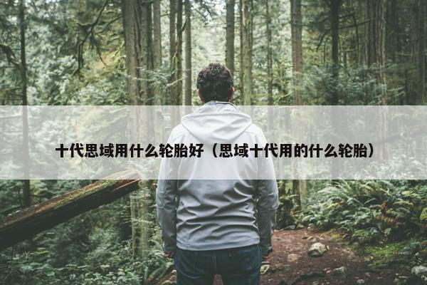 十代思域用什么轮胎好（思域十代用的什么轮胎）