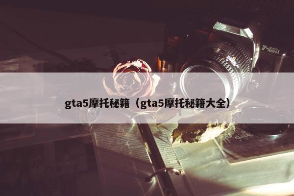 gta5摩托秘籍（gta5摩托秘籍大全）