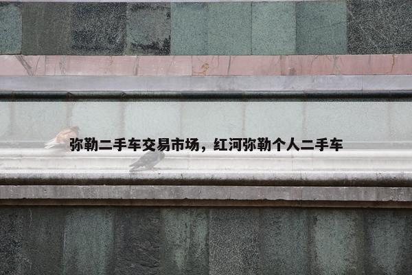 弥勒二手车交易市场，红河弥勒个人二手车