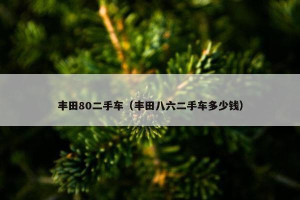 丰田80二手车（丰田八六二手车多少钱）