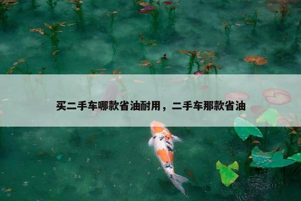 买二手车哪款省油耐用，二手车那款省油