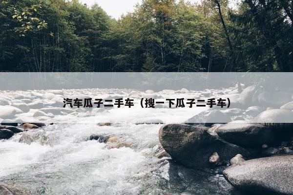 汽车瓜子二手车（搜一下瓜子二手车）