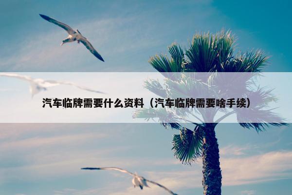 汽车临牌需要什么资料（汽车临牌需要啥手续）