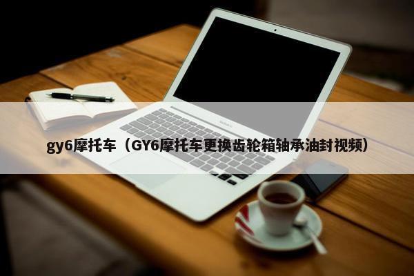 gy6摩托车（GY6摩托车更换齿轮箱轴承油封视频）