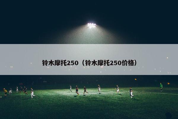 铃木摩托250（铃木摩托250价格）