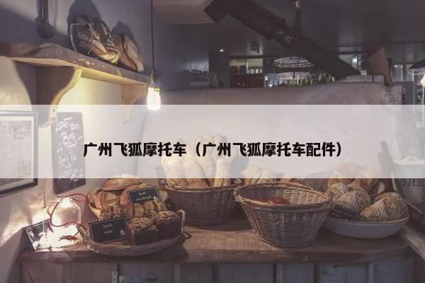 广州飞狐摩托车（广州飞狐摩托车配件）