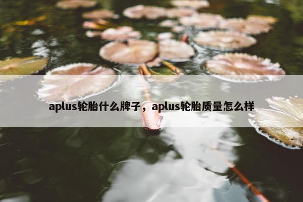 aplus轮胎什么牌子，aplus轮胎质量怎么样