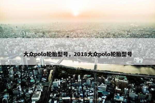 大众polo轮胎型号，2018大众polo轮胎型号