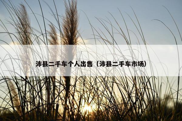 沛县二手车个人出售（沛县二手车市场）
