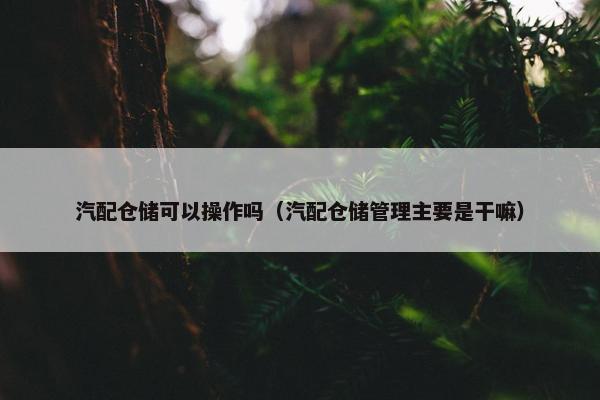 汽配仓储可以操作吗（汽配仓储管理主要是干嘛）