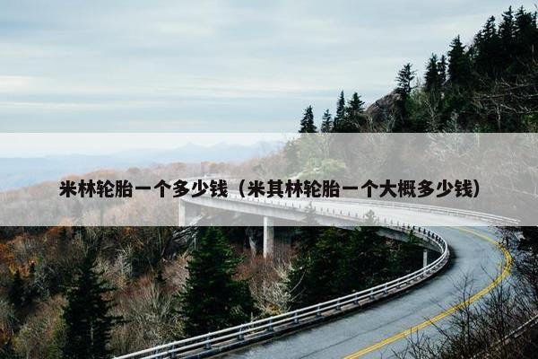 米林轮胎一个多少钱（米其林轮胎一个大概多少钱）