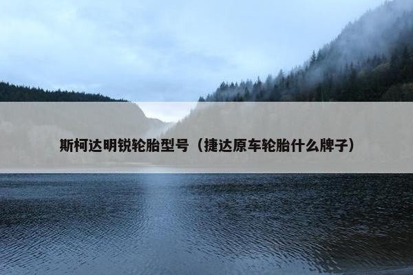 斯柯达明锐轮胎型号（捷达原车轮胎什么牌子）