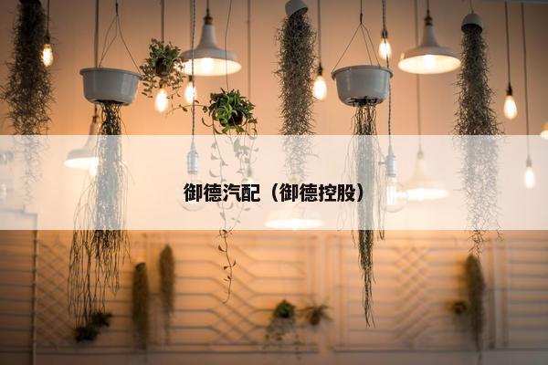 御德汽配（御德控股）