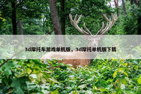 3d摩托车游戏单机版，3d摩托单机版下载