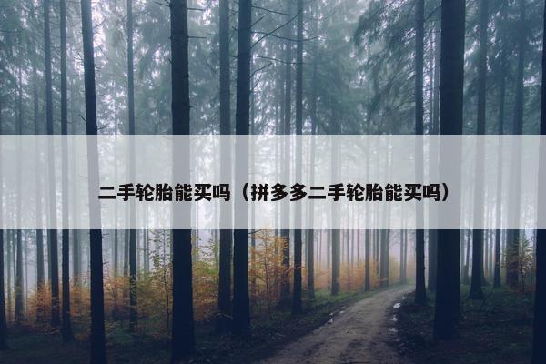 二手轮胎能买吗（拼多多二手轮胎能买吗）