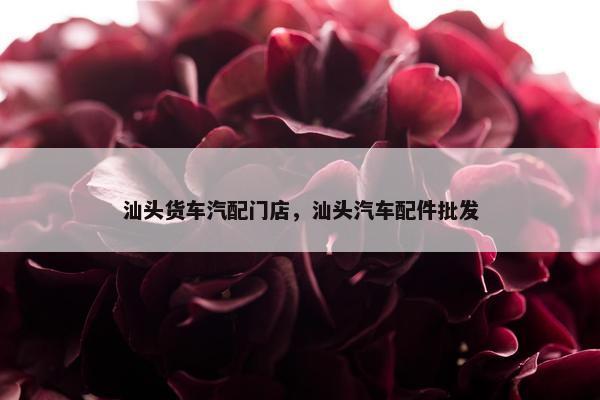 汕头货车汽配门店，汕头汽车配件批发