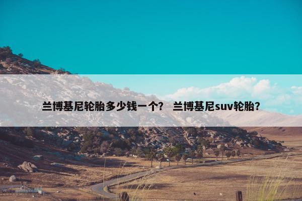 兰博基尼轮胎多少钱一个？ 兰博基尼suv轮胎？