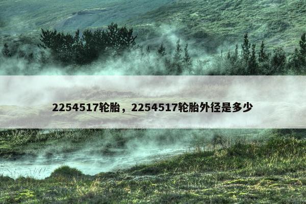 2254517轮胎，2254517轮胎外径是多少