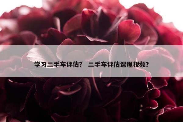 学习二手车评估？ 二手车评估课程视频？