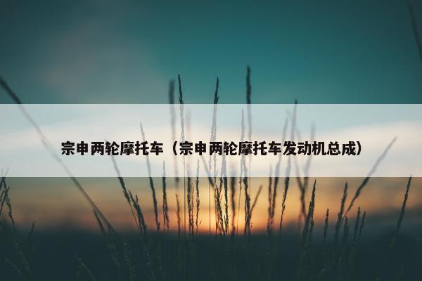 宗申两轮摩托车（宗申两轮摩托车发动机总成）