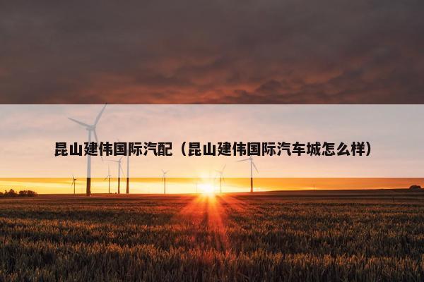 昆山建伟国际汽配（昆山建伟国际汽车城怎么样）