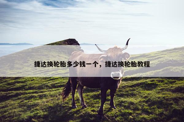 捷达换轮胎多少钱一个，捷达换轮胎教程