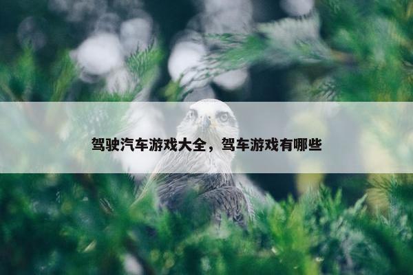 驾驶汽车游戏大全，驾车游戏有哪些