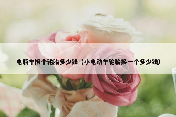 电瓶车换个轮胎多少钱（小电动车轮胎换一个多少钱）