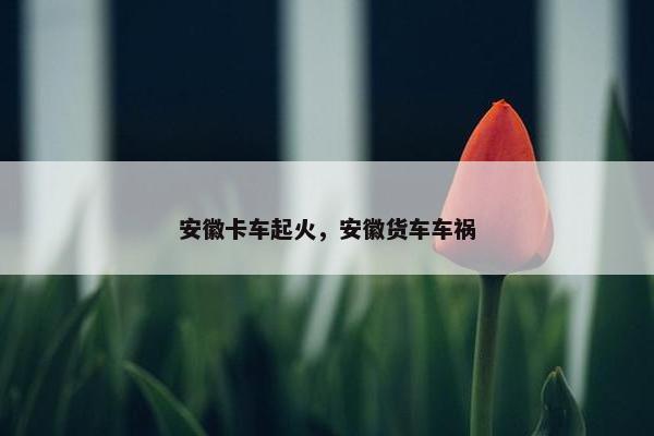 安徽卡车起火，安徽货车车祸