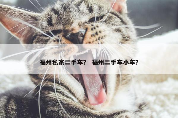 福州私家二手车？ 福州二手车小车？