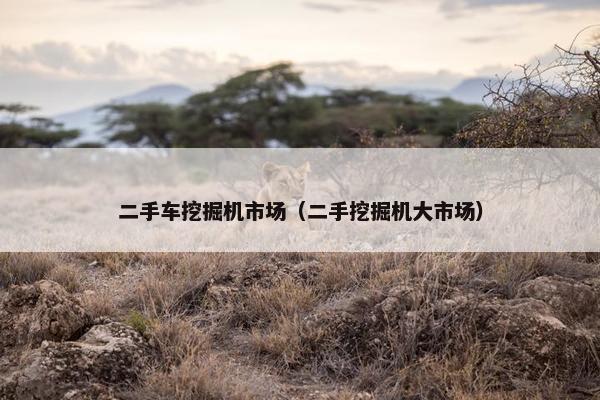 二手车挖掘机市场（二手挖掘机大市场）