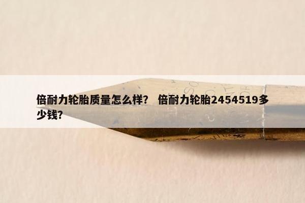 倍耐力轮胎质量怎么样？ 倍耐力轮胎2454519多少钱？