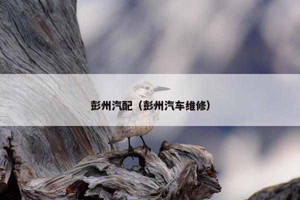 彭州汽配（彭州汽车维修）