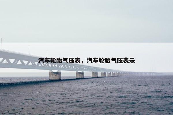 汽车轮胎气压表，汽车轮胎气压表示