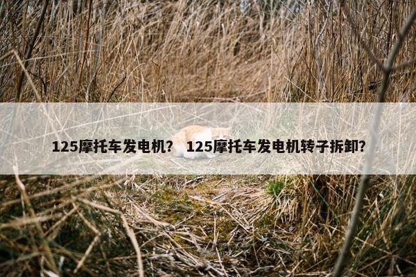 125摩托车发电机？ 125摩托车发电机转子拆卸？