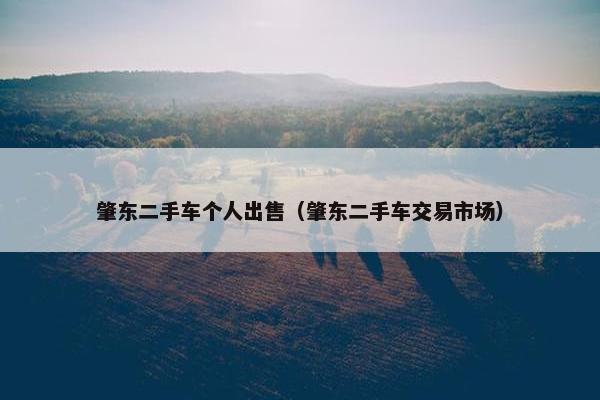 肇东二手车个人出售（肇东二手车交易市场）