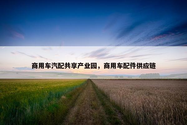 商用车汽配共享产业园，商用车配件供应链