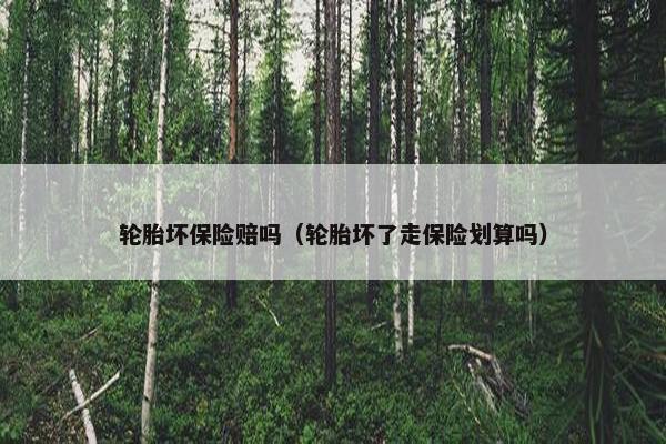 轮胎坏保险赔吗（轮胎坏了走保险划算吗）