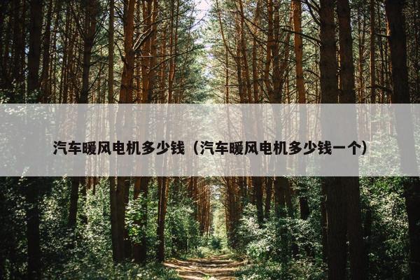 汽车暖风电机多少钱（汽车暖风电机多少钱一个）