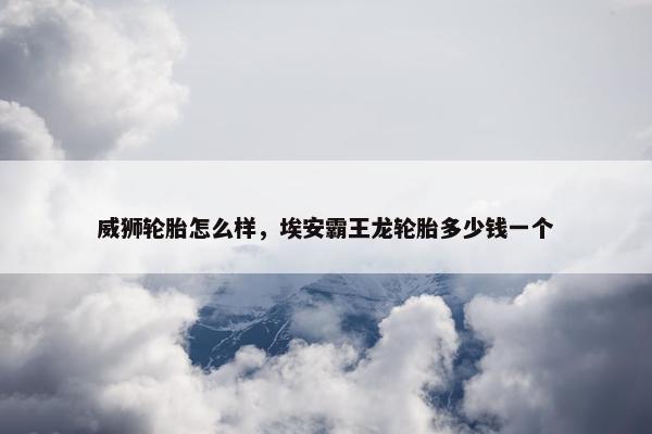 威狮轮胎怎么样，埃安霸王龙轮胎多少钱一个