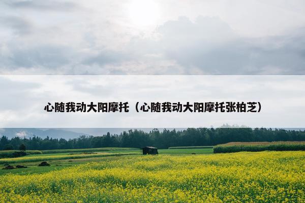 心随我动大阳摩托（心随我动大阳摩托张柏芝）