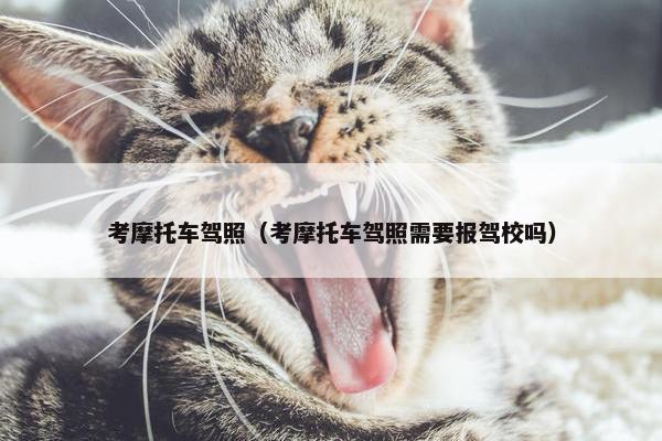考摩托车驾照（考摩托车驾照需要报驾校吗）