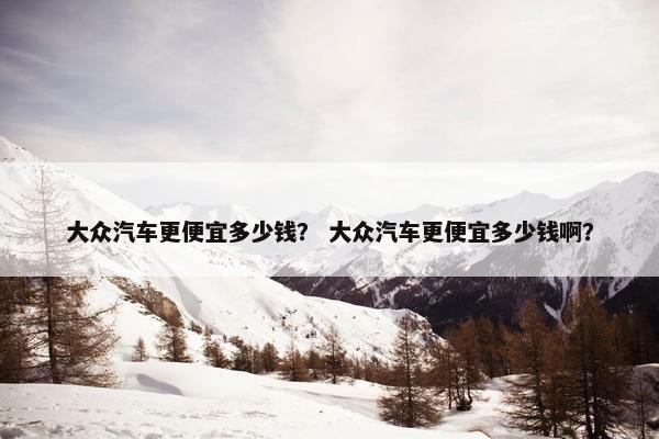 大众汽车更便宜多少钱？ 大众汽车更便宜多少钱啊？