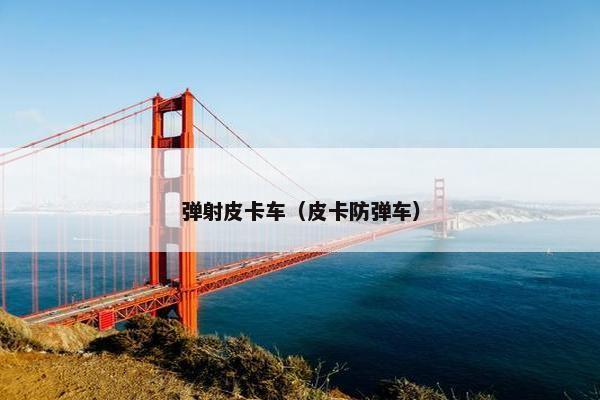 弹射皮卡车（皮卡防弹车）