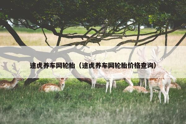 途虎养车网轮胎（途虎养车网轮胎价格查询）