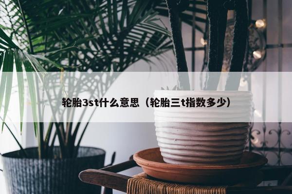 轮胎3st什么意思（轮胎三t指数多少）