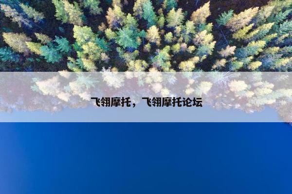 飞翎摩托，飞翎摩托论坛