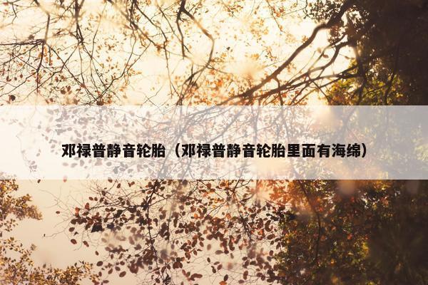 邓禄普静音轮胎（邓禄普静音轮胎里面有海绵）